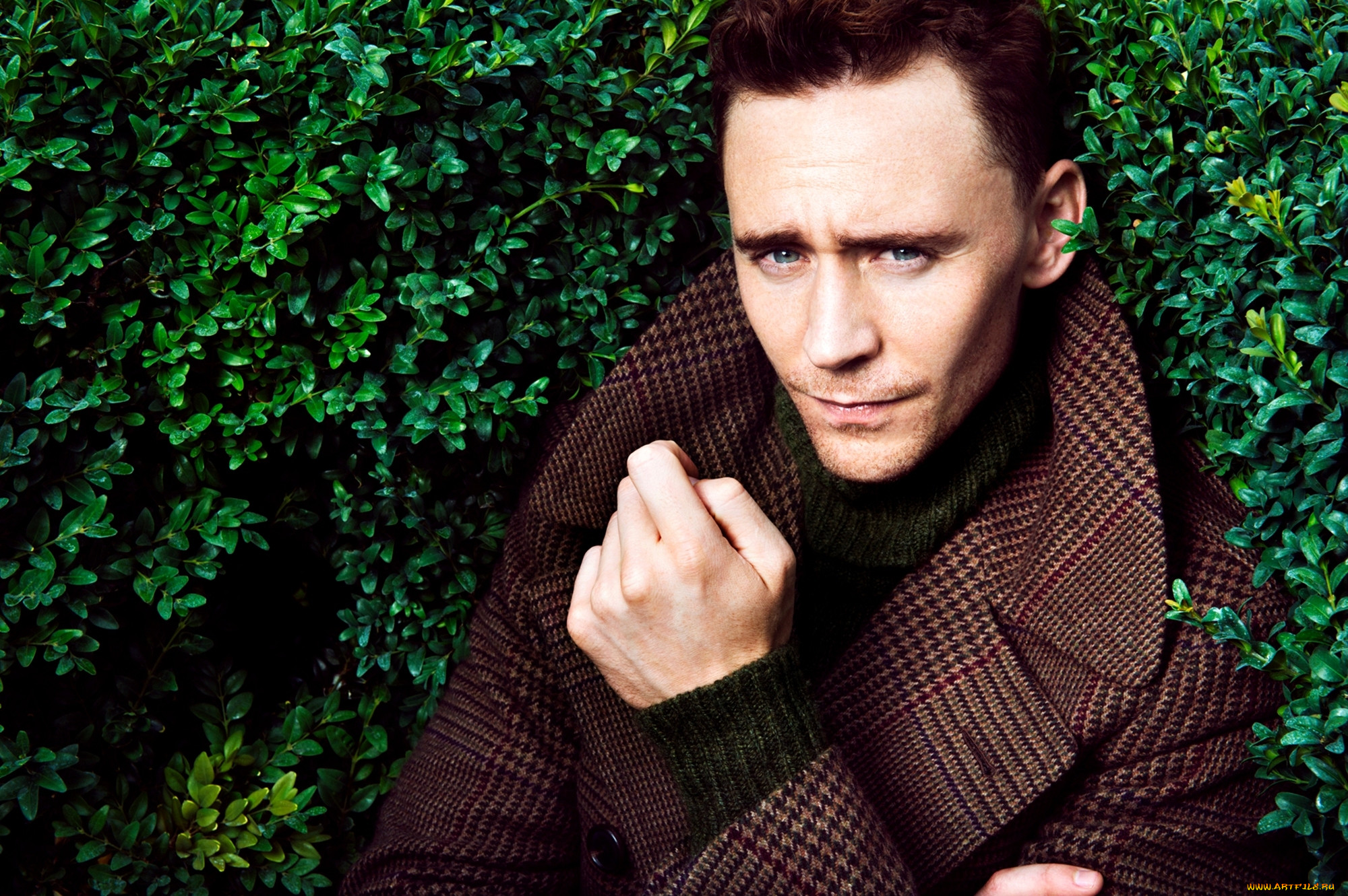 , tom hiddleston, , , , , , , 